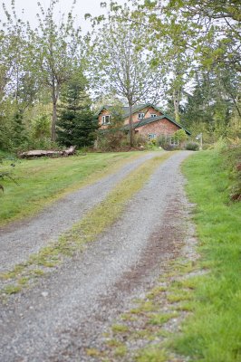 Driveway and the house
