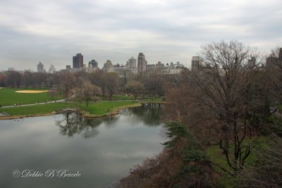 IMG  3303   (Central Park)