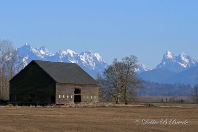 Snohomish, WA Barn 02