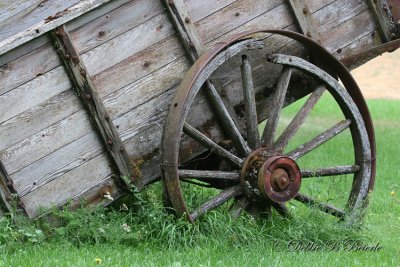 Old Wagon