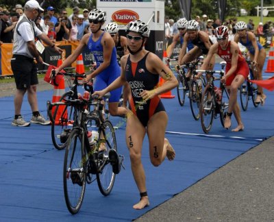 2008 ITU Tri New Plymouth 430.jpg