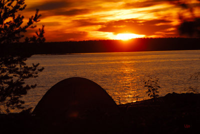 God natt