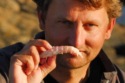Nils mumsar jättekräftor från Kärringön.