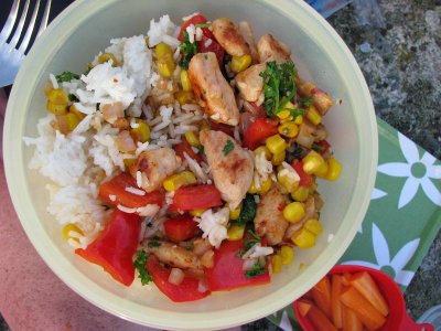 Kyckling, ris och grnsaker