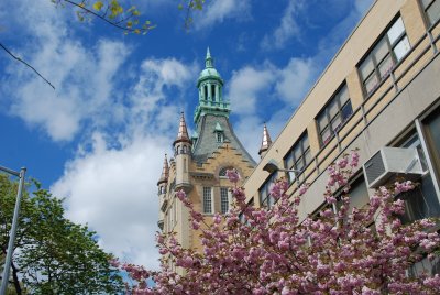 DSC_0031.JPG