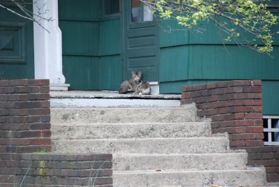 DSC_0037.JPG