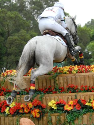 Hinrich Romeike(GER) on Marius DSC_0742 .JPG