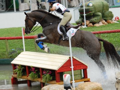 Olympic Equestrian in Hong Kong   BNb