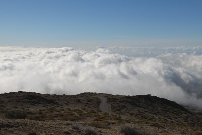 DSC_0092.JPG