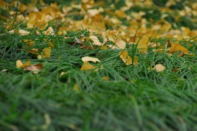 DSC_0484.JPG