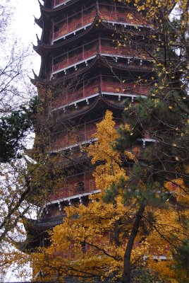 _xDSC_0481.JPG