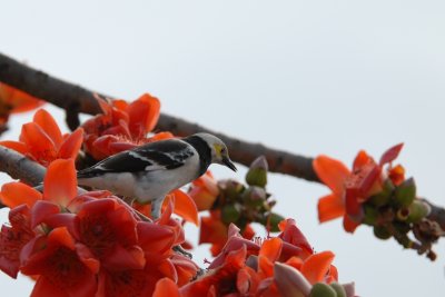 DSC_0691.JPG