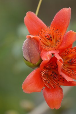 DSC_0719.JPG