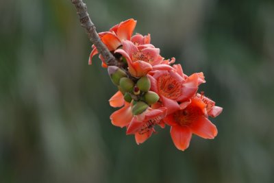 DSC_0678.JPG