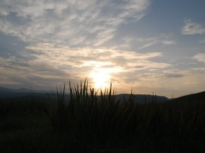 Morning in Nalati DSC_0138.JPG