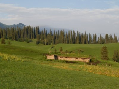 NalatiԴ DSC_0140.JPG