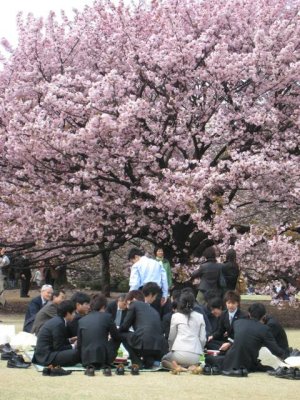 新宿御苑IMG_0599.JPG