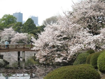 Shinjuku Gyoen,Tokyo  IMG_0641.JPG
