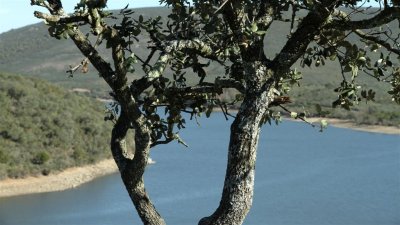 IMG_1953.jpg