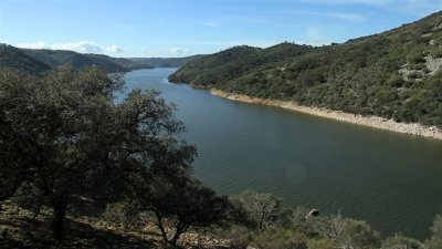 IMG_1964.jpg
