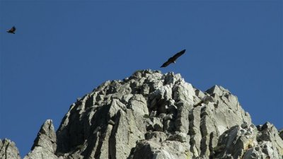 IMG_1968.jpg