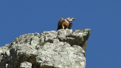 IMG_1985.jpg