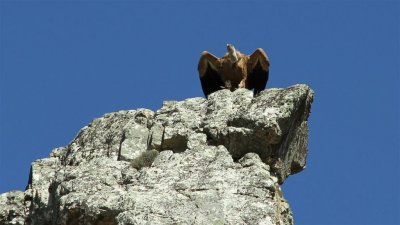 IMG_1989.jpg