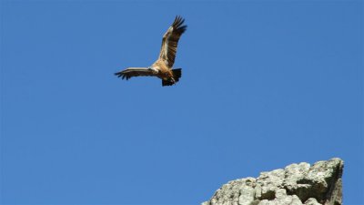 IMG_1991.jpg