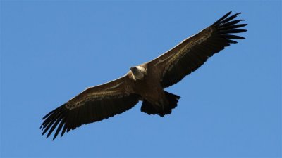 IMG_2018.jpg