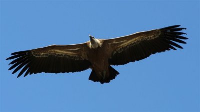 IMG_2019.jpg