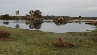 IMG_2077.jpg