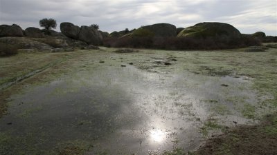 IMG_2078.jpg