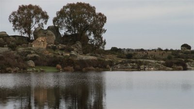 IMG_2092.jpg