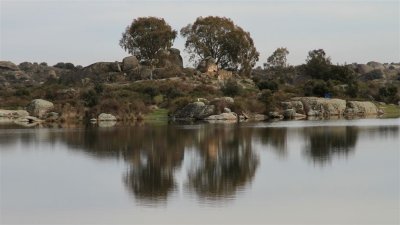 IMG_2101.jpg
