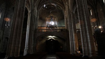 IMG_2146.jpg