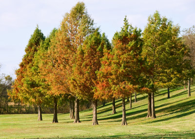 Breckinridge Park