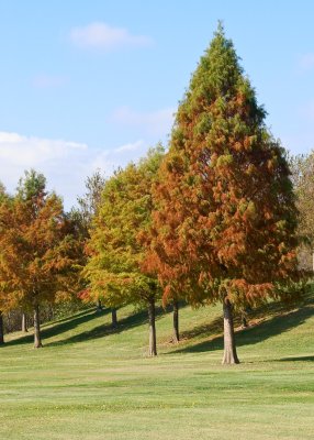 Breckinridge Park
