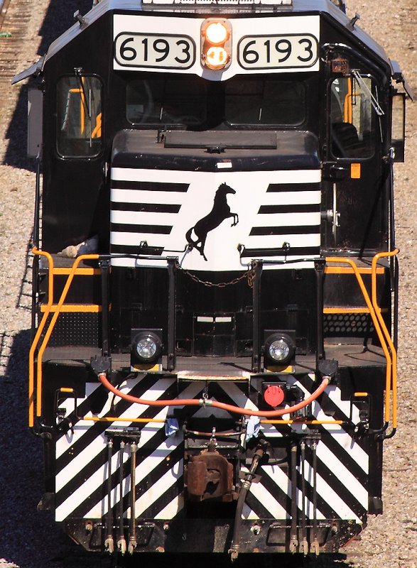 NS RCO 6193 at Debutts 
