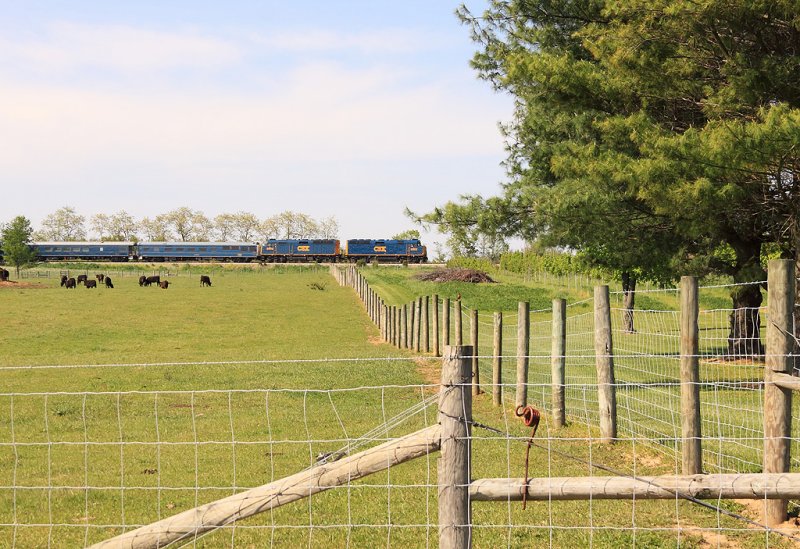 CSX Derby train deadhead on the RJC at Bagdad