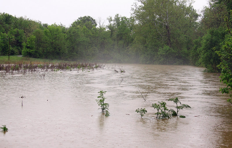The Salt RIver at Kirkwood Road 05/02
