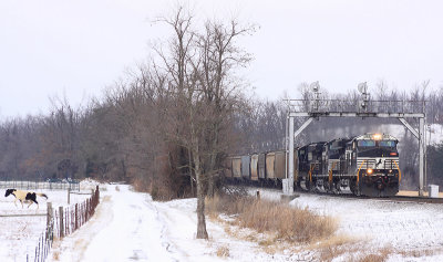 The Oreo horse is running for the hills as Southbound grain train 44A takes the single track at Bowen 