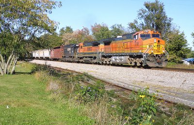 BNSF power leads NS 175 at Burgin