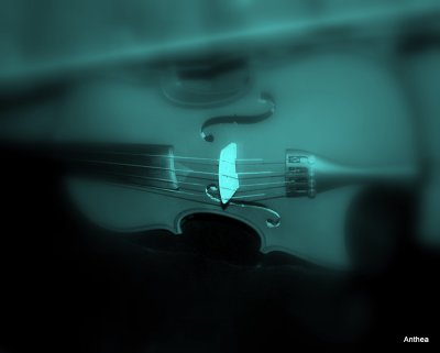IMG_0005.JPG