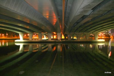 Under Narrows Bridge