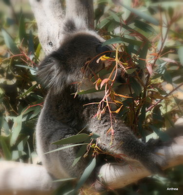 Meanwhile, Keith has found a great tree branch to hide behind