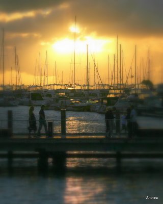 masts in the sunset