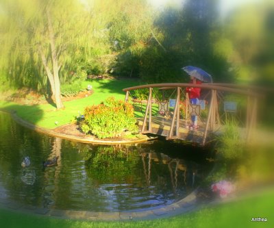 peace and tranquility
