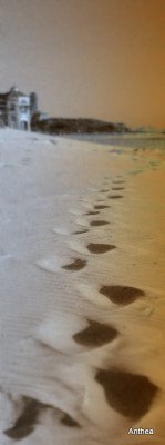 foot prints in the sand