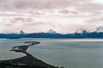 Homer spit