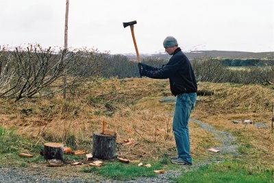 Master wood splitter